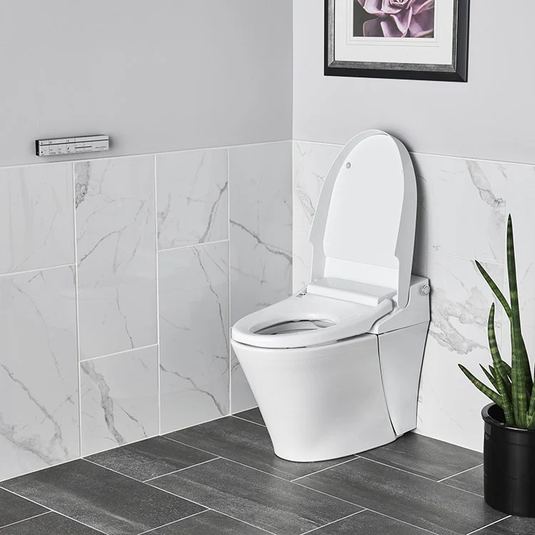 Advanced Clean 100 Elongated Bidet Toilet Seat with Remote Control - Frankwebs