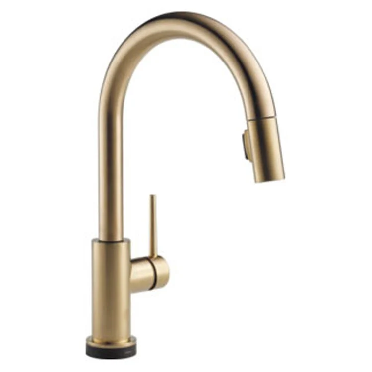 Trinsic Single Handle Pull Down Kitchen Faucet with Touch2O Technology - Frankwebs