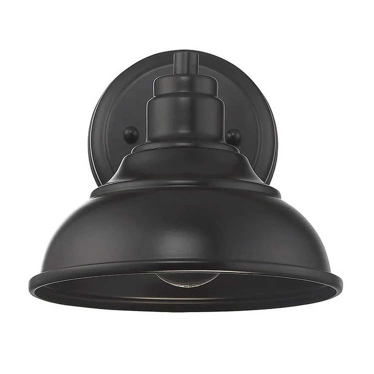 Dunston Single-Light Dark Sky Outdoor Wall Mount Sconce - Frankwebs