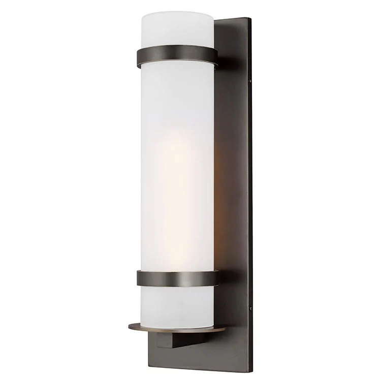 Alban Single-Light Large Outdoor Wall Lantern - Frankwebs