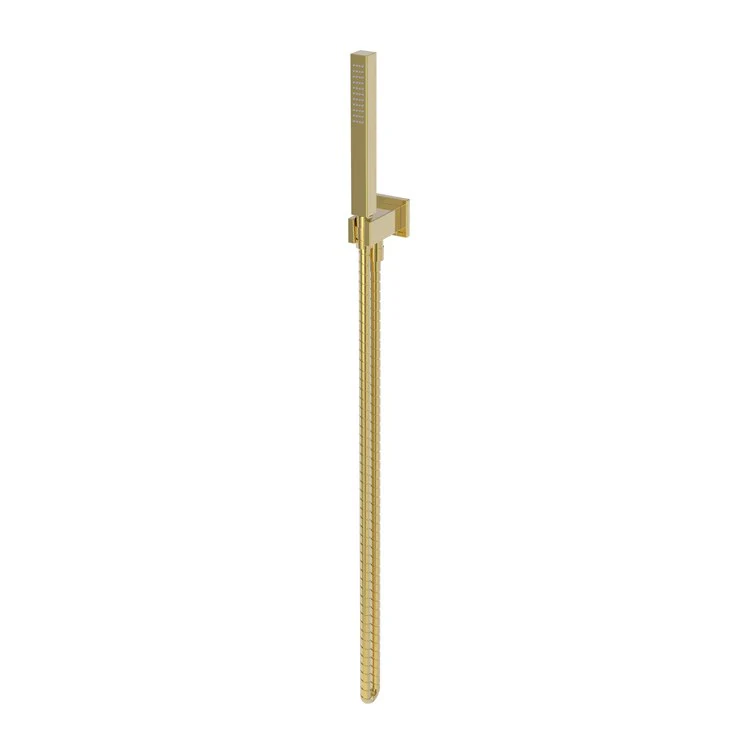 Handshower Set Tub and Shower Contemporary Square Plate Polished Brass Uncoated Living 1 Function 1.8 Gallons per Minute - Frankwebs