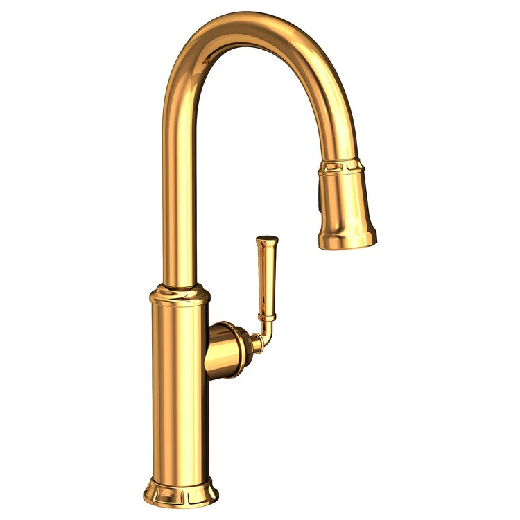 Kitchen Faucet Gavin 1 Lever ADA Polished Gold PVD Pull Down Spout Height 10-3/8 Inch 1.8 Gallons per Minute - Frankwebs