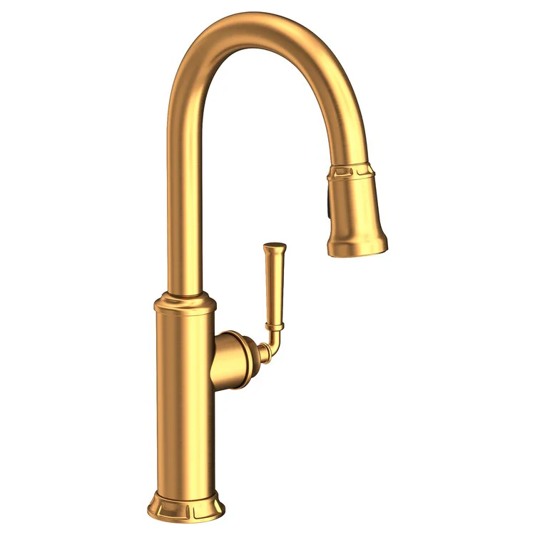 Kitchen Faucet Gavin 1 Lever ADA Polished Gold PVD Pull Down Spout Height 10-3/8 Inch 1.8 Gallons per Minute - Frankwebs