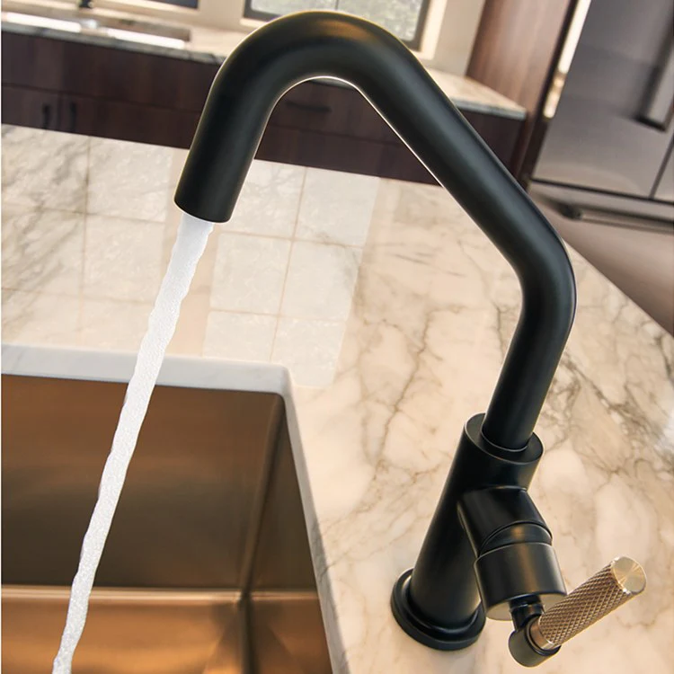 Litze Single Handle Bar Faucet with Angled Spout/Knurled Handle - Frankwebs