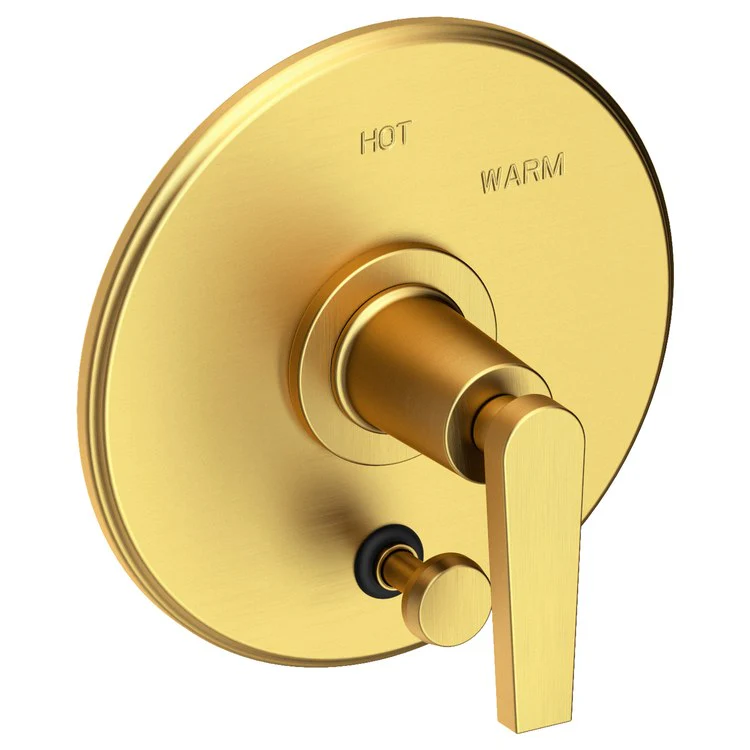 Pressure Balance Valve Trim Dorrance with Diverter Pull Knob 1 Lever Forever Brass PVD ADA Depth 3-1/6 Inch - Frankwebs