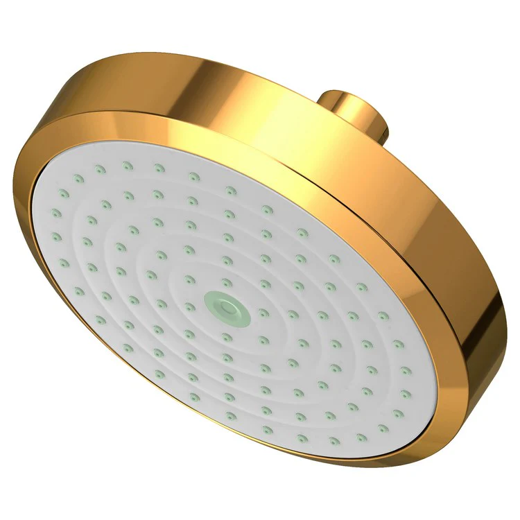 Showerhead Newport Bath 1 Function French Gold PVD 5-15/16 Inch 1.8 Gallons per Minute Rubber NZL - Frankwebs