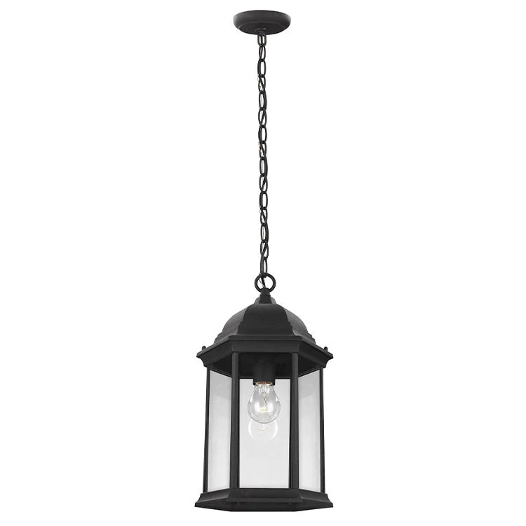 Sevier Single-Light Outdoor Hanging Lantern - Frankwebs