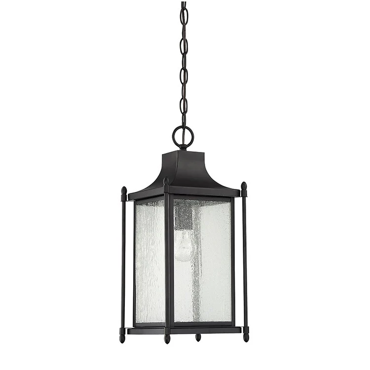 Dunnmore Single-Light Hanging Lantern - Frankwebs