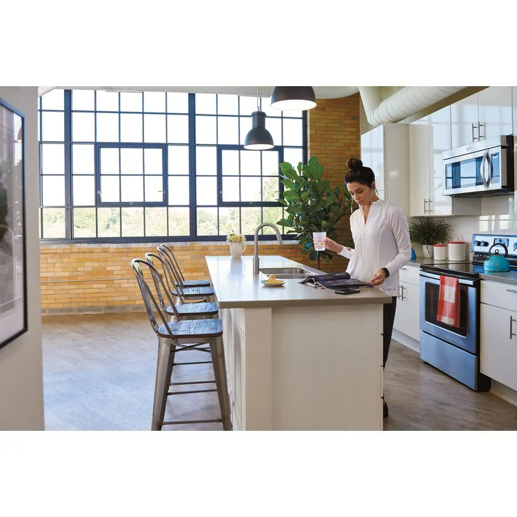 Kitchen Faucet Genta 1 Lever ADA Spot Resist Stainless Pull Down High Arc - Frankwebs