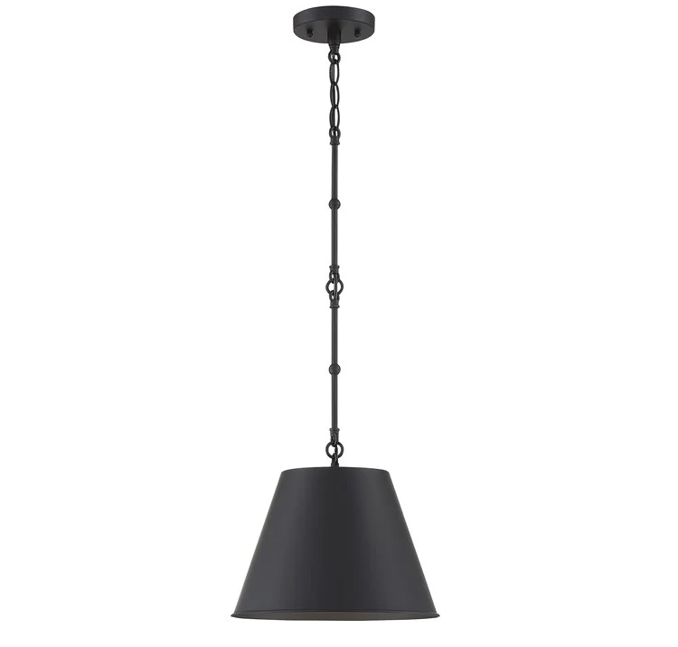 Alden Single-Light Pendant - Frankwebs
