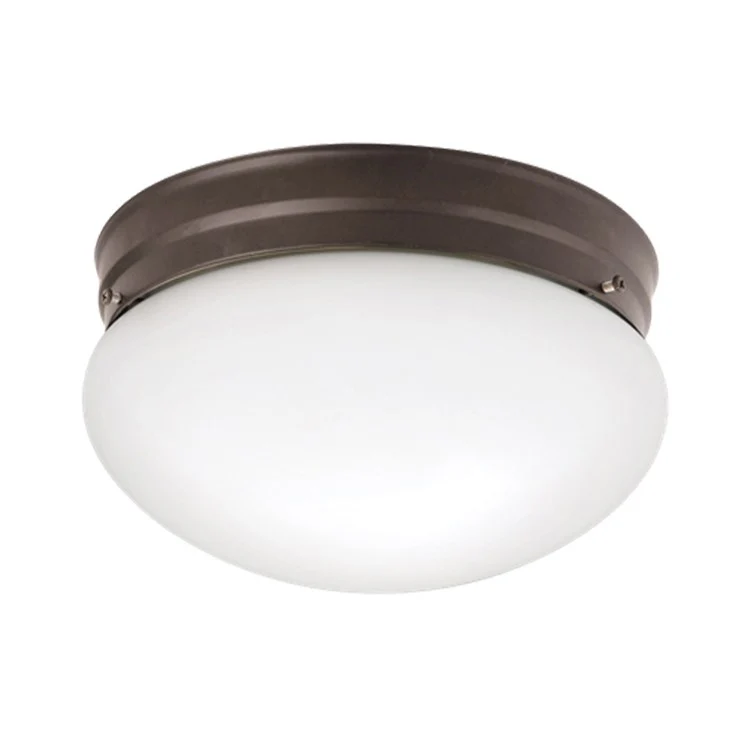 Ceiling Space Two-Light Flush Mount Ceiling Fixture - Frankwebs