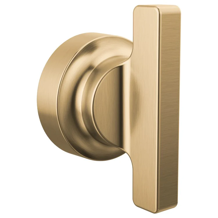 Handle Assembly Tetra 2-1/8 Inch 1 T-Handle Lumicoat Chrome ADA for Tetra Floor Mount Tub Filler - Frankwebs