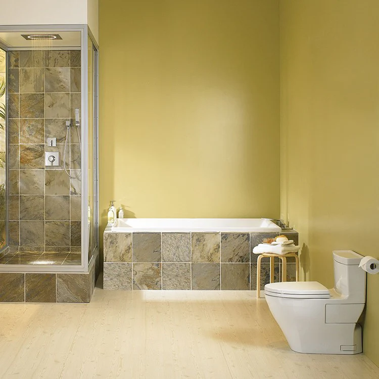 Legato One-Piece Elongated Toilet - Frankwebs