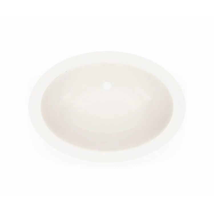 Lavatory Bowl Single Bowl Undermount 19 x 13 Inch Bisque 6-1/4 Inch ADA - Frankwebs