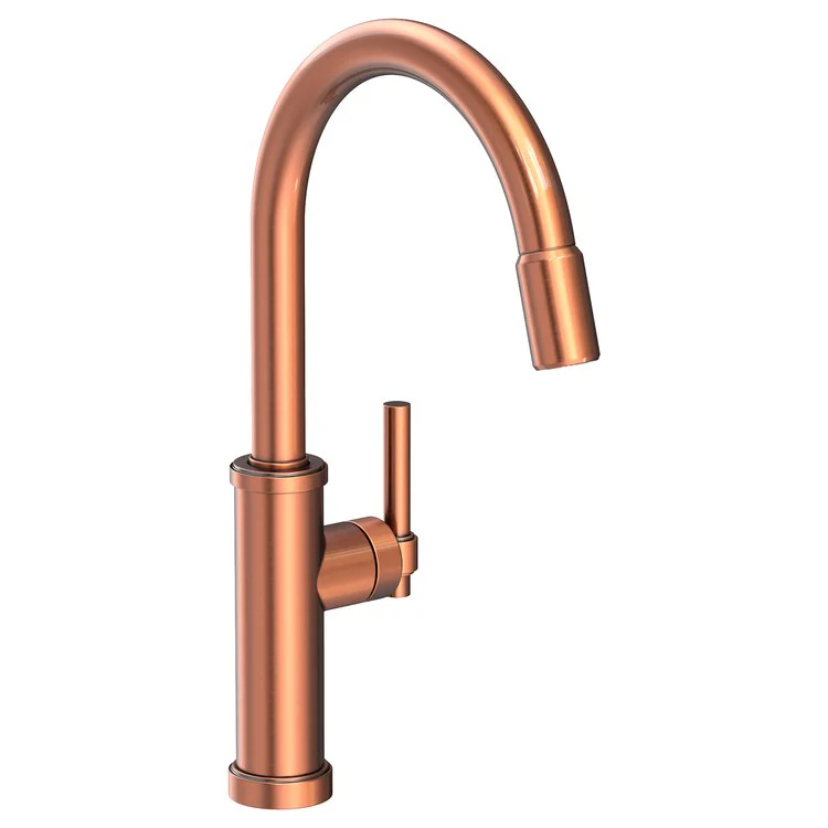 Kitchen Faucet Seager 1 Lever ADA Polished Brass Uncoated Living Pull Down Spout Height 10-4/5 Inch 1.8 Gallons per Minute - Frankwebs