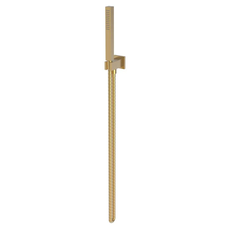 Handshower Set Tub and Shower Contemporary Square Plate Polished Brass Uncoated Living 1 Function 1.8 Gallons per Minute - Frankwebs