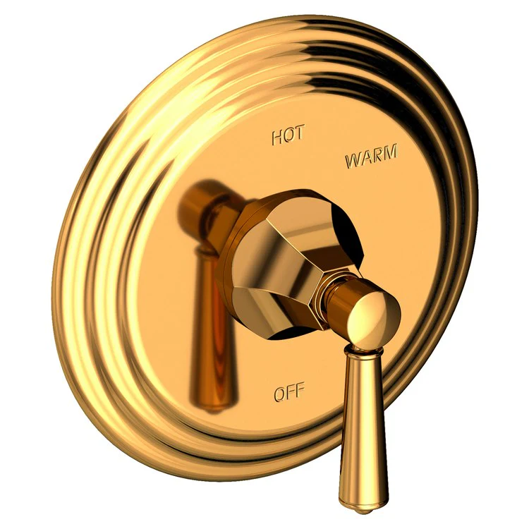 Pressure Balance Valve Trim Metropole Round 1 Lever Aged Brass ADA Depth 3-3/7 Inch - Frankwebs