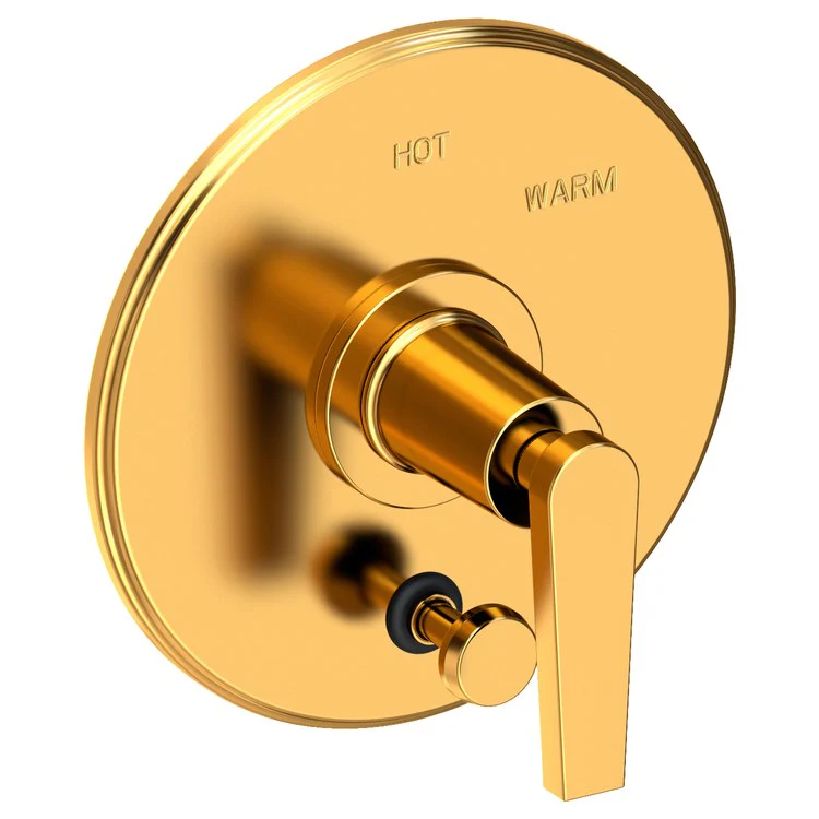Pressure Balance Valve Trim Dorrance with Diverter Pull Knob 1 Lever Forever Brass PVD ADA Depth 3-1/6 Inch - Frankwebs