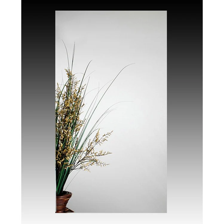 Cabinet 2000 15 x 35 Inch 1 Doors Mirror Stainless Steel - Frankwebs