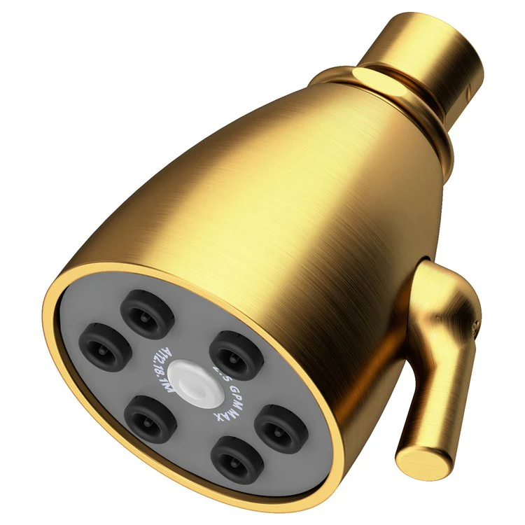 Single-Function Six-Jet Showerhead - Midnight Chrome - Frankwebs