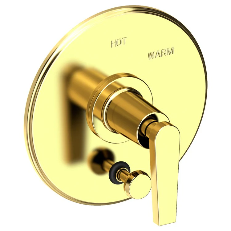 Pressure Balance Valve Trim Dorrance with Diverter Pull Knob 1 Lever Forever Brass PVD ADA Depth 3-1/6 Inch - Frankwebs