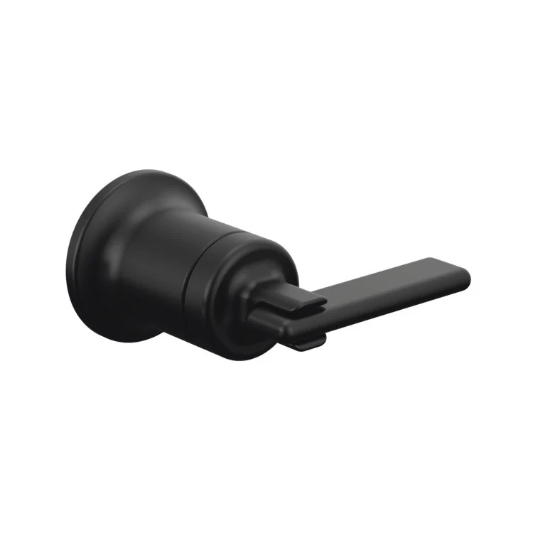 Handle Kit Allaria Zinc 1 Lever Brilliance Luxe Gold / Clear Acrylic ADA for Wall Mount Lavatory - Frankwebs