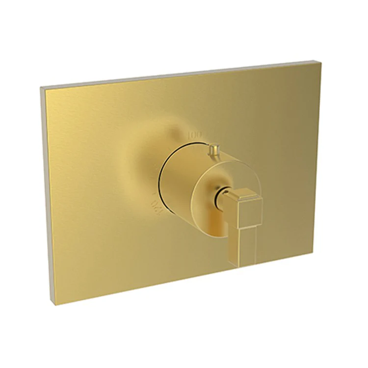 Thermostatic Trim Malvina Rectangular Plate 1 Lever Forever Brass PVD ADA for Rough Valve 1-540 Face Plate and Temperature-Adjust Handle Brass - Frankwebs