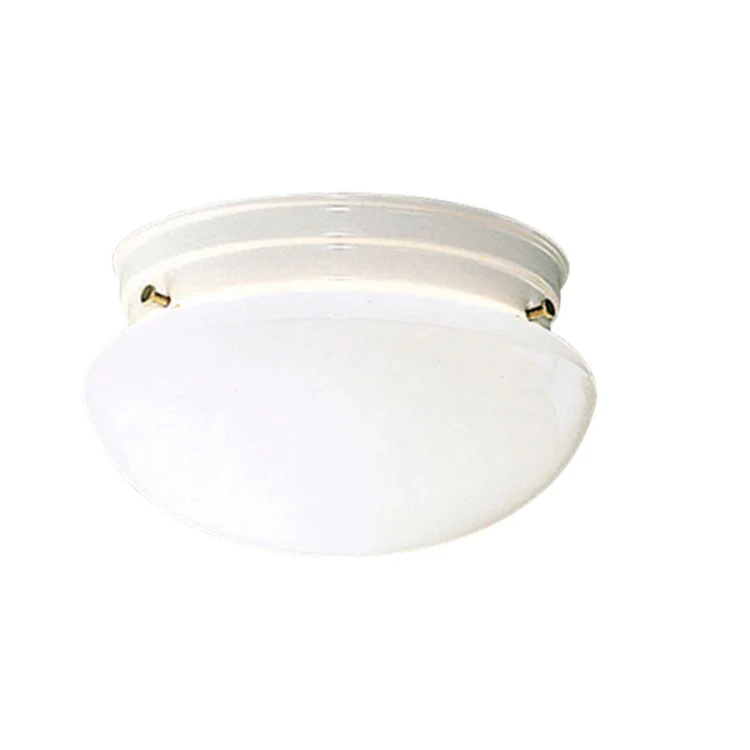 Ceiling Space Two-Light Flush Mount Ceiling Fixture - Frankwebs