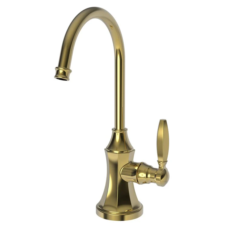 Cold Water Dispenser Metropole 1 Lever ADA Gooseneck Antique Nickel - Frankwebs