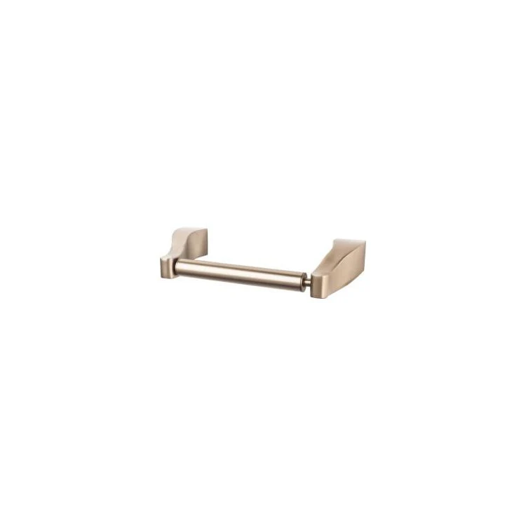 Aqua Toilet Paper Holder - Polished Nickel - Frankwebs