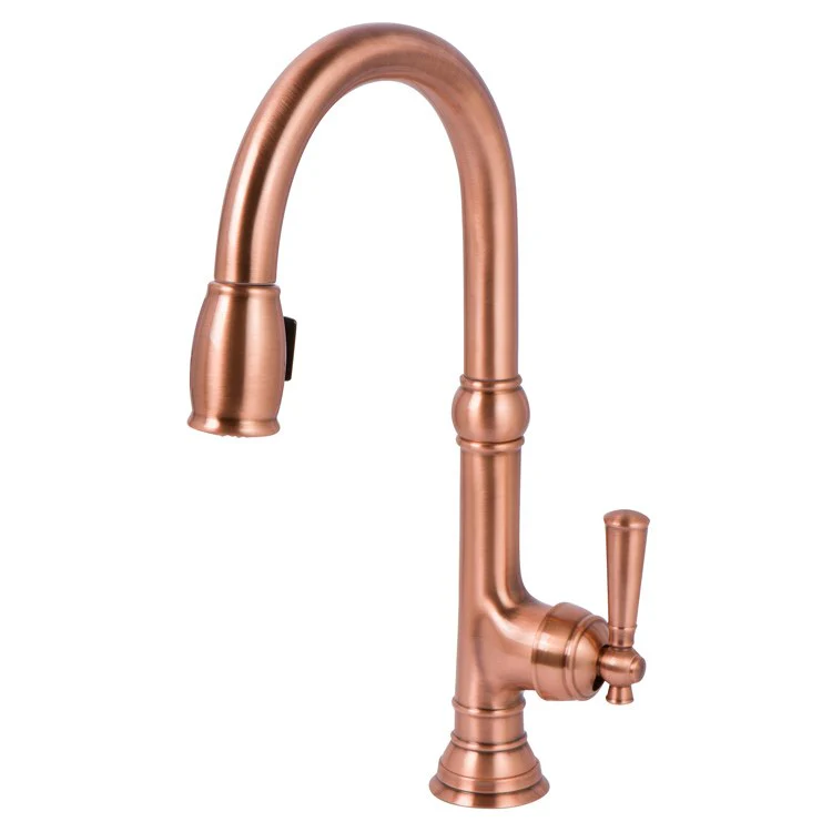 Kitchen Faucet Jacobean 1 Lever ADA Midnight Chrome Pull Down Spout Height 9-4/5 Inch 1.8 Gallons per Minute - Frankwebs