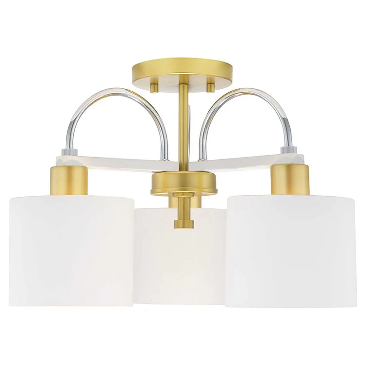 Rigsby Three-Light Convertible Semi-Flush Mount Ceiling Fixture/Pendant - Frankwebs