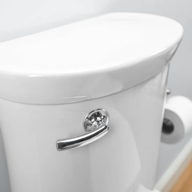 Tropic Right Height FloWise Elongated 1-Piece Toilet - Frankwebs