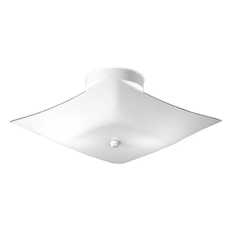 Illuma-Flex Series Two-Light Flush Mount Ceiling Fixture - Frankwebs