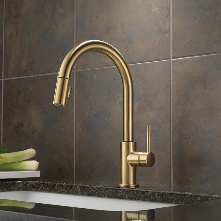 Trinsic Single Handle Pull Down Kitchen Faucet - Frankwebs
