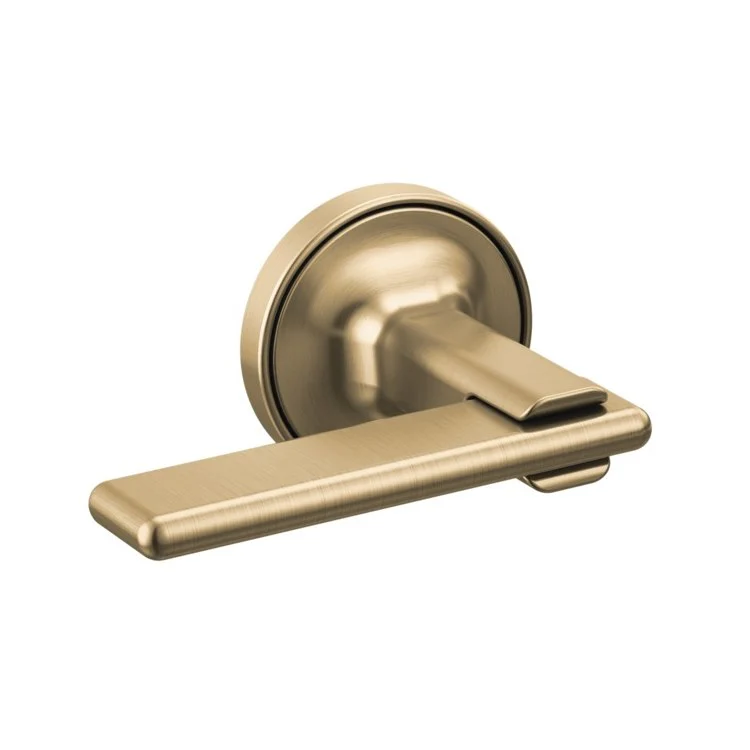 Handle Kit Allaria Zinc 2 Lever Brilliance Luxe Gold / Clear Acrylic ADA for Wall Mount Tub Filler - Frankwebs