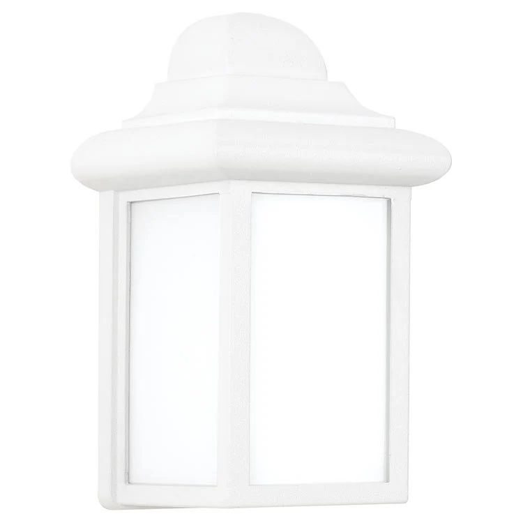 Mullberry Hill Single-Light Outdoor Wall Lantern - Frankwebs