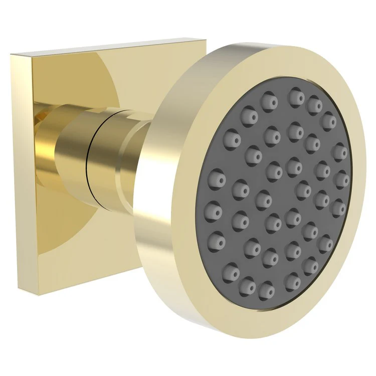 Body Spray Newport Bath Gloss Black 2-1/2 Inch Single Function 1.75 Gallons per Minute 1/2