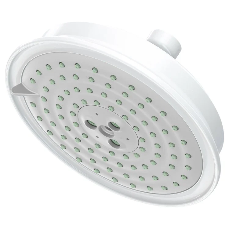Traditional Five-Function Shower Head - Frankwebs