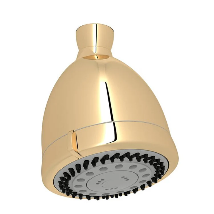 Showerhead 6 Function Polished Nickel 4 Inch 1.75 Gallons per Minute Round with 6 Spray Patterns Stream Stream/Champagne Champagne Champagne/Massage Massage Massage/Stream - Frankwebs