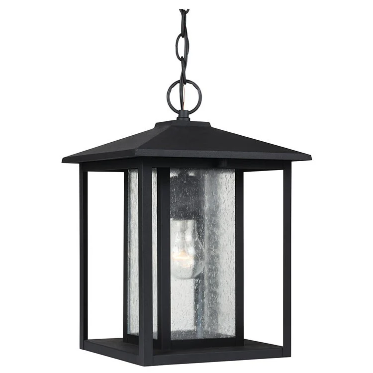 Hunnington Single-Light Outdoor Pendant - Frankwebs