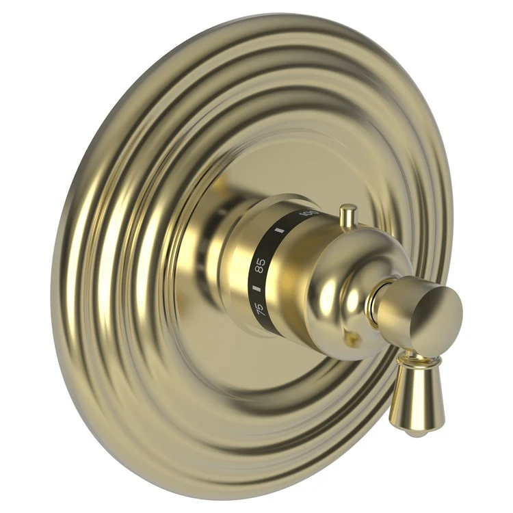 Thermostatic Trim Metropole Round Plate 1 Lever Polished Brass Uncoated Living ADA for Rough Valve 1-540 Face Plate and Temperature-Adjust Handle Brass - Frankwebs