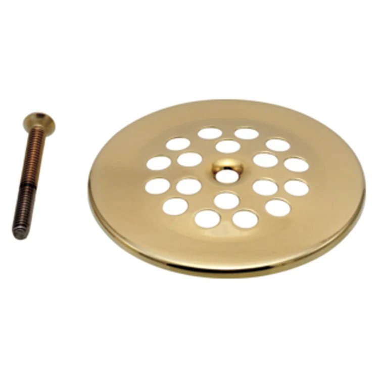 Drain Strainer Dome with Screw Polished Brass 10-24 x 1-3/4 Inch - Frankwebs