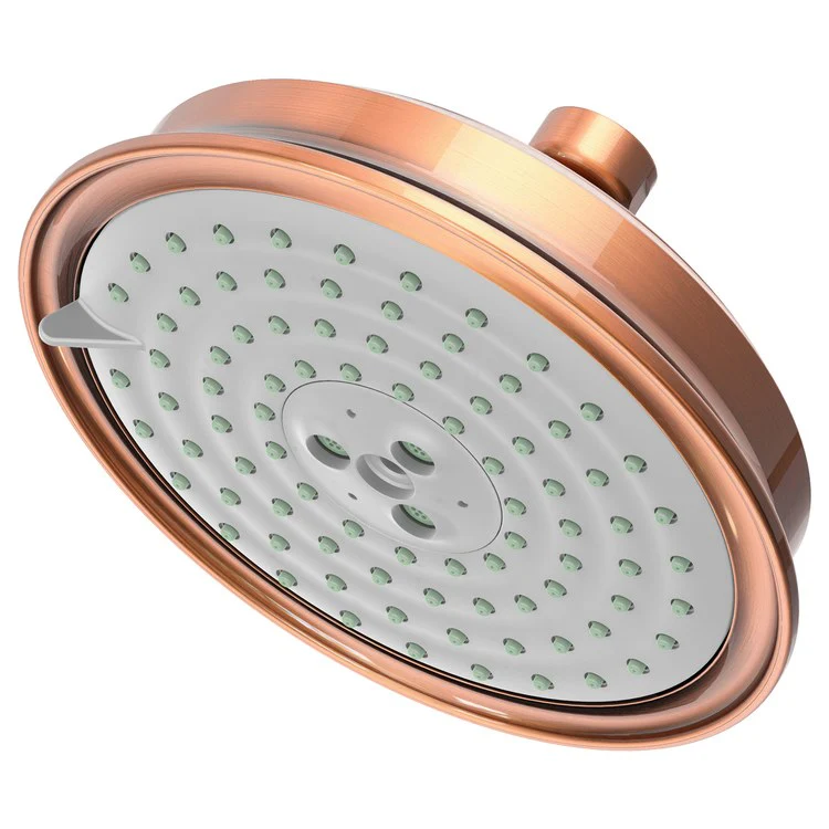 Traditional Five-Function Shower Head - Frankwebs