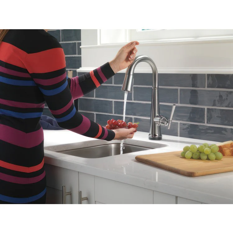 Bar Faucet Emmeline 1 Lever ADA Lumicoat Arctic Stainless Pull Down 1.8 Gallons per Minute - Frankwebs