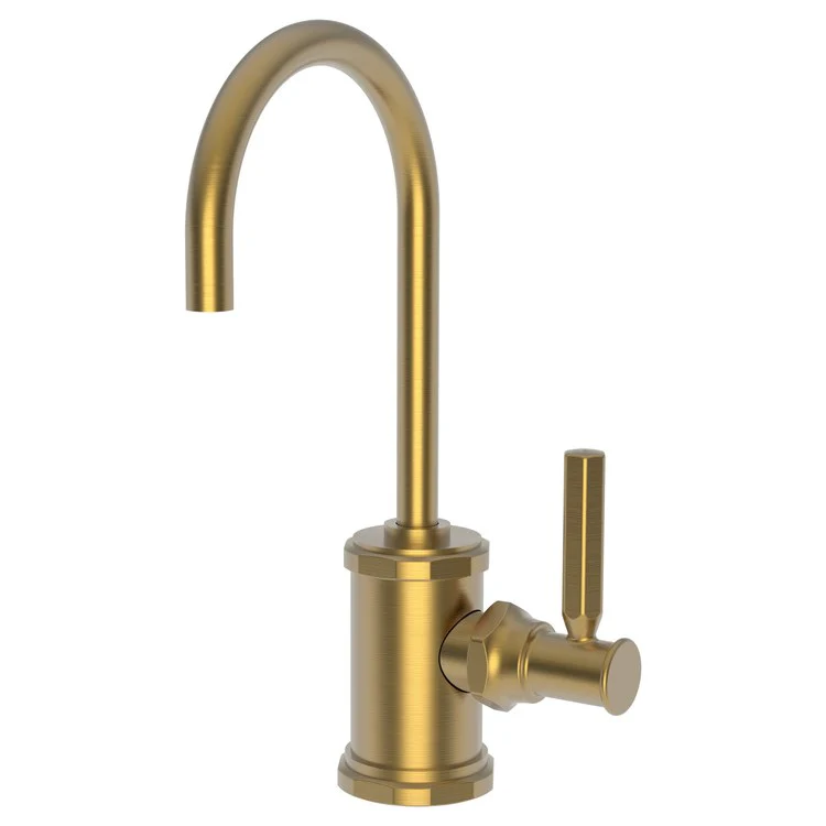 Cold Water Dispenser Heaney 1 Lever ADA Gooseneck Satin Gold PVD - Frankwebs