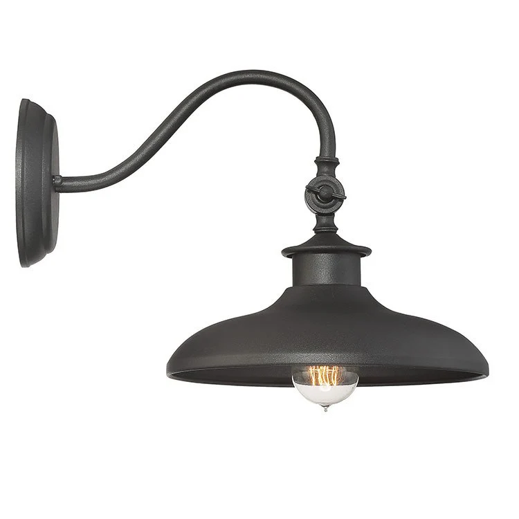 Raleigh Single-Light 11