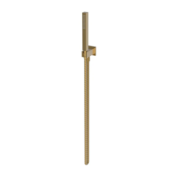 Handshower Set Tub and Shower Contemporary Square Plate Polished Brass Uncoated Living 1 Function 1.8 Gallons per Minute - Frankwebs