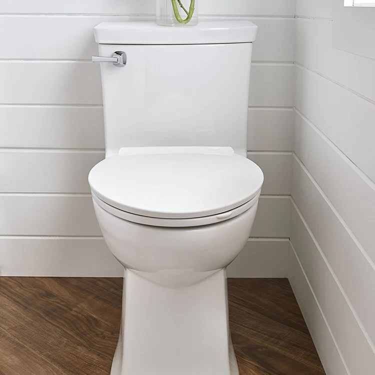 Townsend Vormax One-Piece Right Height High-Efficiency Elongated Toilet with Seat - Frankwebs