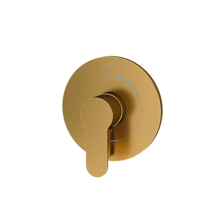 Shower Valve Trim Identity with VersaFlex Integral Diverter 1 Lever Polished Chrome ADA for S261/262 Series Temptrol VersaFlex Shower Valve - Frankwebs